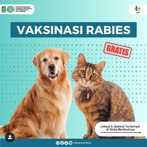 Vaksinasi Rabies di Bekasi Gratis Bagi 150 Pendaftar, Cek Selengkapnya Disini