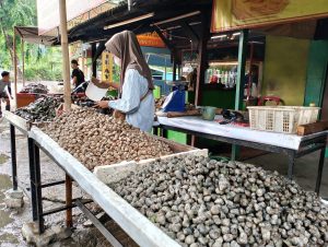 Penjual Kerang Bisa Raup Omset Rp100 Juta Saat Tahun Baru