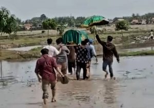 Sempat Viral Warga Gotong Jenazah Lewat Petakan Sawah, Ini Tanggapan Camat Muaragembong