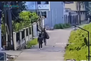 Satpol PP Turun Tangan Cari ODGJ Lempar Batu ke Seorang Guru 
