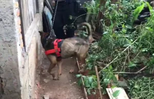 Anjing Pelacak Temukan Benda ini di Rumah Didik Pelaku Pembunuh Anak di Ciketing Udik