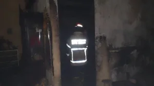 Ini Kronologi ODGJ di Jakamulya Bakar Sampah Satu Rumah Terbakar