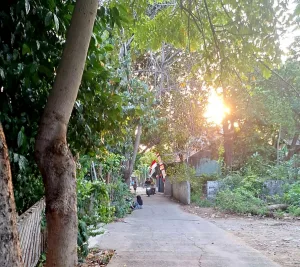 Kampung Kokok Beluk Pasca Kemerdekaan, dari tempat Semedi hingga Dakwah KH. Noer Alie
