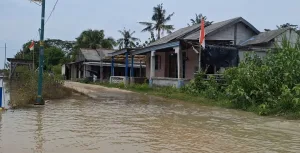 BPBD : Wilayah Muaragembong dan Tarumajaya Kena Dampak Banjir Rob Selama Sepekan