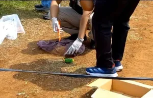 Polisi Beberkan Kronologi Jasad Bayi Ditemukan di Kampung Bendungan Tamara