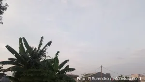 Prakiraan Cuaca di Bekasi, BMKG : Hujan Intensitas Ringan Siang dan Malam Hari