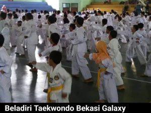 Mengenal Taekwondo, Ilmu Bela Diri Asal Korea Yang Menjamur di Bekasi