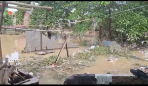 Rumah Ratusan Warga Kampung Teluk Pucung Terendam Banjir Ketinggian Air 2 Meter