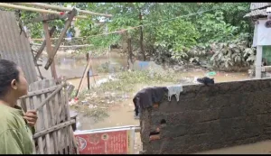 Dampak Banjir Musim Hujan, Warga Teluk Pucung Kena Penyakit Gatal dan Demam