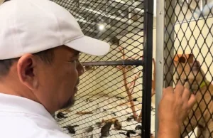 Temui Aktivis Pecinta Kucing Jalanan, Heri Koswara: Perlu ada Program Perlindungan dan Hak Hewan