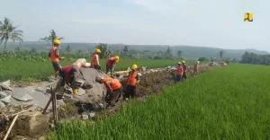 Pemerintah Genjot Swasembada Pangan Lewat Sawah Cetak dan Revitalisasi Sistem Irigasi