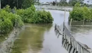 Kampung Sembilangan 5 Hari Tergenang Banjir Rob