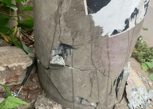 Tiang Listrik Retak di Rawalumbu Dampak Pohon Tumbang