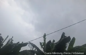Bekasi Diguyur Hujan, Emak-Emak  Angkat Jemuran