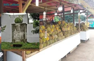 Duren dan Kampung Setu