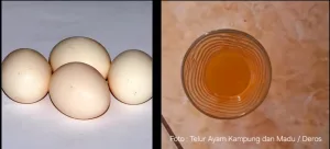 Terlur Ayam Kampung dan Madu, Pendongkrak Stamina Warisan Leluhur