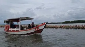 Berita Foto: Pagar Bambu di Laut Bekasi Ramai di Media Sosial