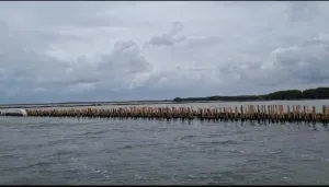 Nelayan Bekasi Kesulitan Cari Ikan Gegara Pagar Bambu Sepanjang 5 Kilometer