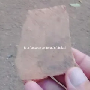Orang Bekasi Mandi Pake Bite, Pembersih Daki Legendaris Pada Zamannya