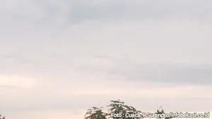 Prakiraan Cuaca di Bekasi Hari Ini