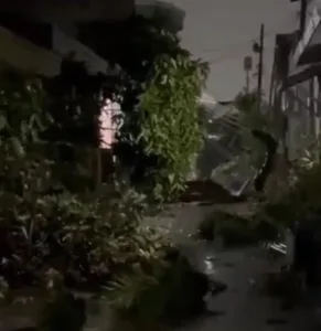 Video Atap Rumah Bolong dan Pohon Tumbang ‘Disapu’ Angin Puting Beliung, Warga: Ya Allah Ya Allah !