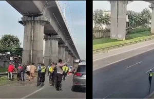 Lalin Tol Japek Tambun Km 22 Sempat Tersendat Gegara Seekor Sapi Lepas