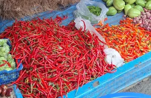 Harga Cabai Rawit Merah di Pasar Baru Rp110 Ribu Per Kg Jelang Hari Raya Idul Fitri