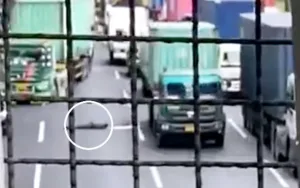Ini Identitas Pria Paruh Baya Meninggal Tertabrak Mobil di Tol Japek Km 36