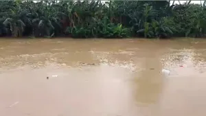 Krisis Air Bersih di Kabupaten Bekasi, Warga: Jumat Sampai Hari Ini Mati Total