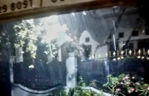 Hujan Disertai Angin Kencang di Kaliabang Tumbangkan Pohon Klengkeng Milik Warga