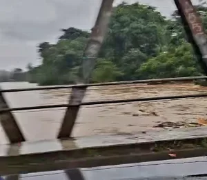 Banjir Terparah di Bekasi Berada di PGP dan Kemang IFI Sempat Mencapai Atap Rumah