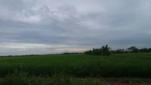Dari Pesawahan hingga Kota Modern: Transformasi Wilayah Bekasi