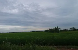 Dari Pesawahan hingga Kota Modern: Transformasi Wilayah Bekasi