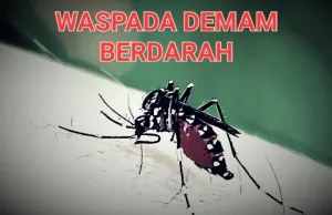 Ratusan Warga Kota Bekasi Terkena Demam Berdarah, Ini Imbauan Dikes Kota Bekasi