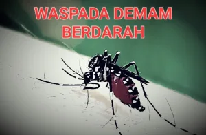 Ratusan Warga Kota Bekasi Terkena Demam Berdarah, Ini Imbauan Dikes Kota Bekasi