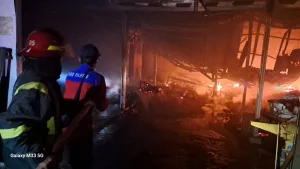 Si Jago Merah Mengamuk di Babelan: Pabrik Arang Terbakar
