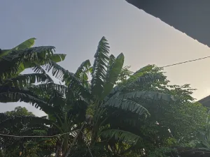 Cuaca Pagi Ini Bekasi Rasa Puncak