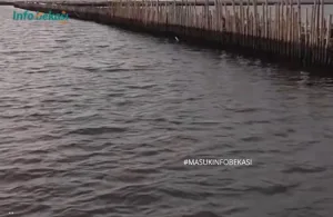 Kades Segarajaya Ditetapkan Sebagai Tersangka Kasus Pagar Laut bersama 7 Tersangka Lainnya