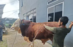 Mesjid Al Barkah Bekasi Jadi Lokasi Penyembelihan Sapi Presiden Prabowo