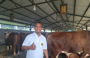 Kisah Jupri, Juragan Sapi Viral Usai Sapi Miliknya Dibeli Presiden Prabowo