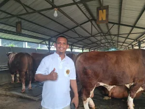 Kisah Jupri, Juragan Sapi Viral Usai Sapi Miliknya Dibeli Presiden Prabowo