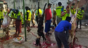 Fakta atau Mitos: Daging Kambing Sebabkan Hipertensi ?