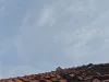 Perubahan Cuaca Dinamis di Bekasi Hari Ini, Warga Diminta Siapkan Payung Ilustrasi Cuaca /infobekasi/deros