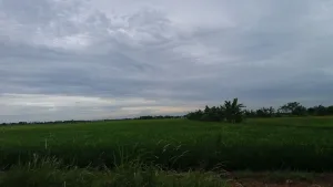 Dulu Musim Hujan Bisa Ditebak Sekarang Tidak Lagi, Apa yang Sebenarnya Terjadi ?