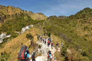 Pendakian Bukan Hanya Soal Puncak, Tapi Juga Pulang dengan Selamat