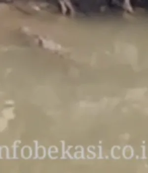 1753689960897