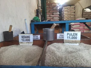 Waspada Beras Oplosan, Pemkot Bekasi Gandeng BIN dan KPPU Jaga Kualitas Pangan
