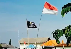 Fenomena Unik: Bendera One Piece Lebih Diminati daripada Merah Putih di Bekasi