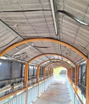 1756441535198