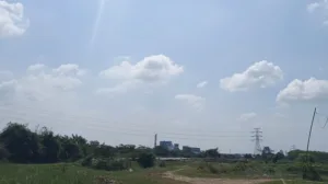 Kampung Pasar Emas: Ketika Petani Buni Bekasi Temukan Harta Karun dan Sejarah Terpendam